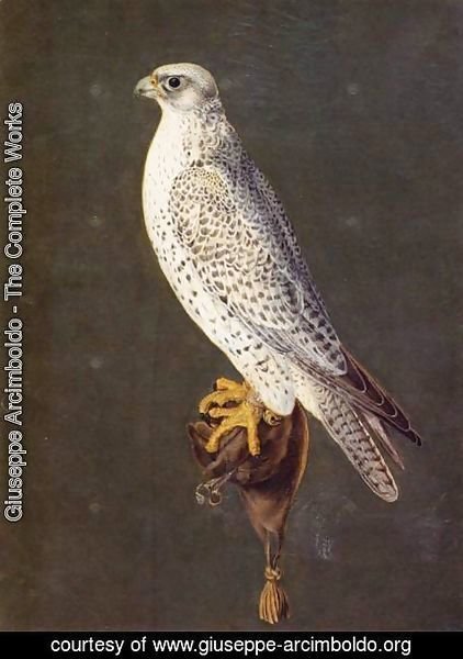 Giuseppe Arcimboldo - Birds