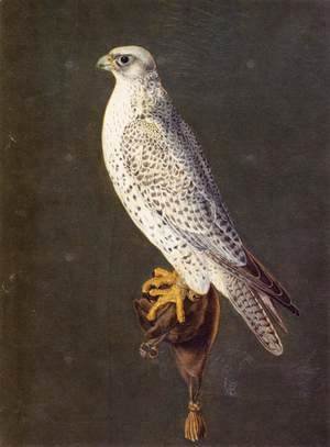 Giuseppe Arcimboldo - Birds