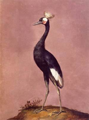 Giuseppe Arcimboldo - Birds 2